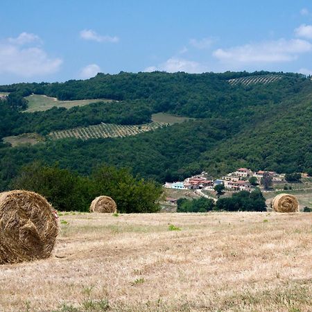 Spa Resort Fonte Alla Lepre Riparbella Kültér fotó