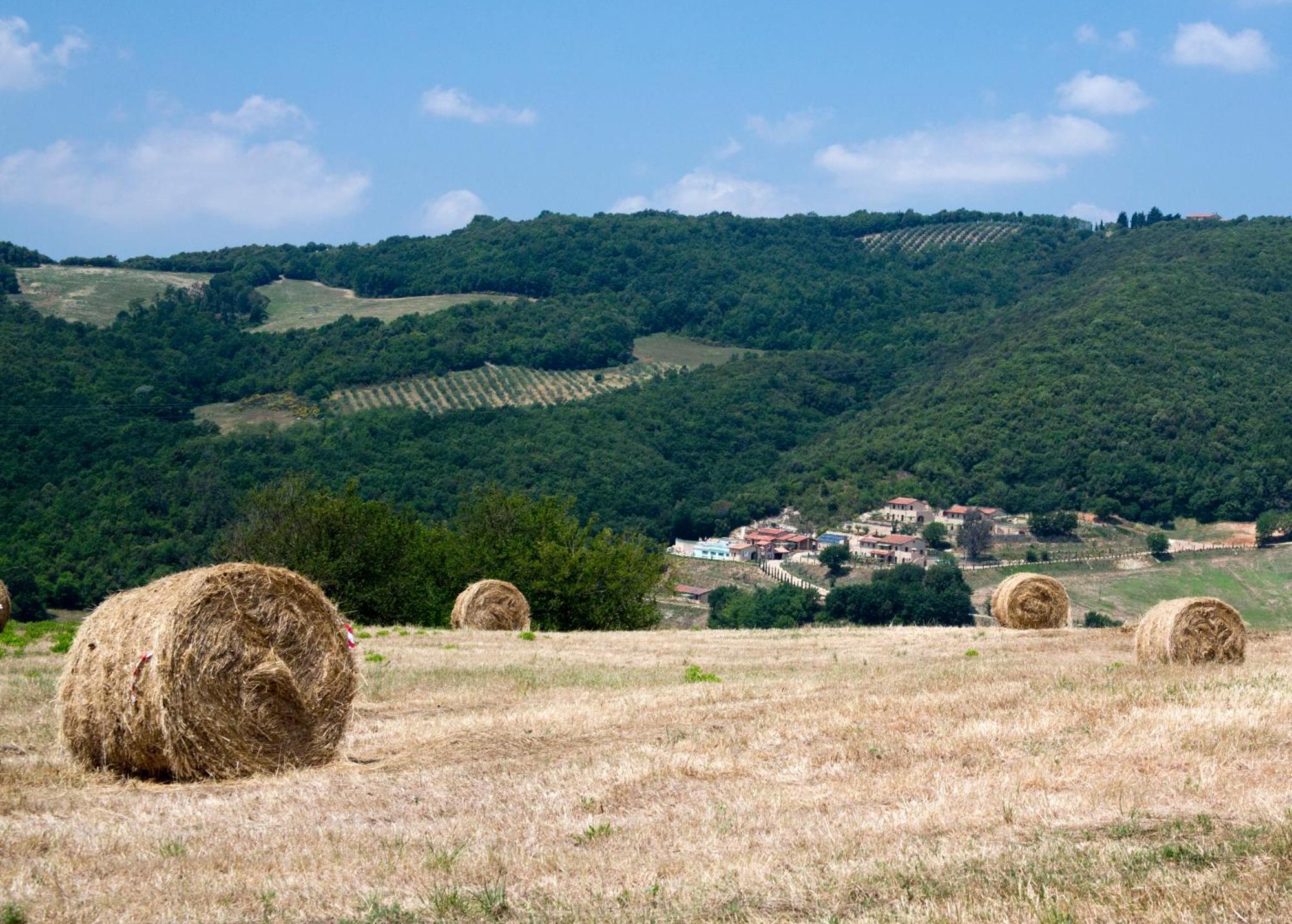 Spa Resort Fonte Alla Lepre Riparbella Kültér fotó